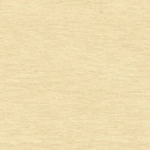 4205-416