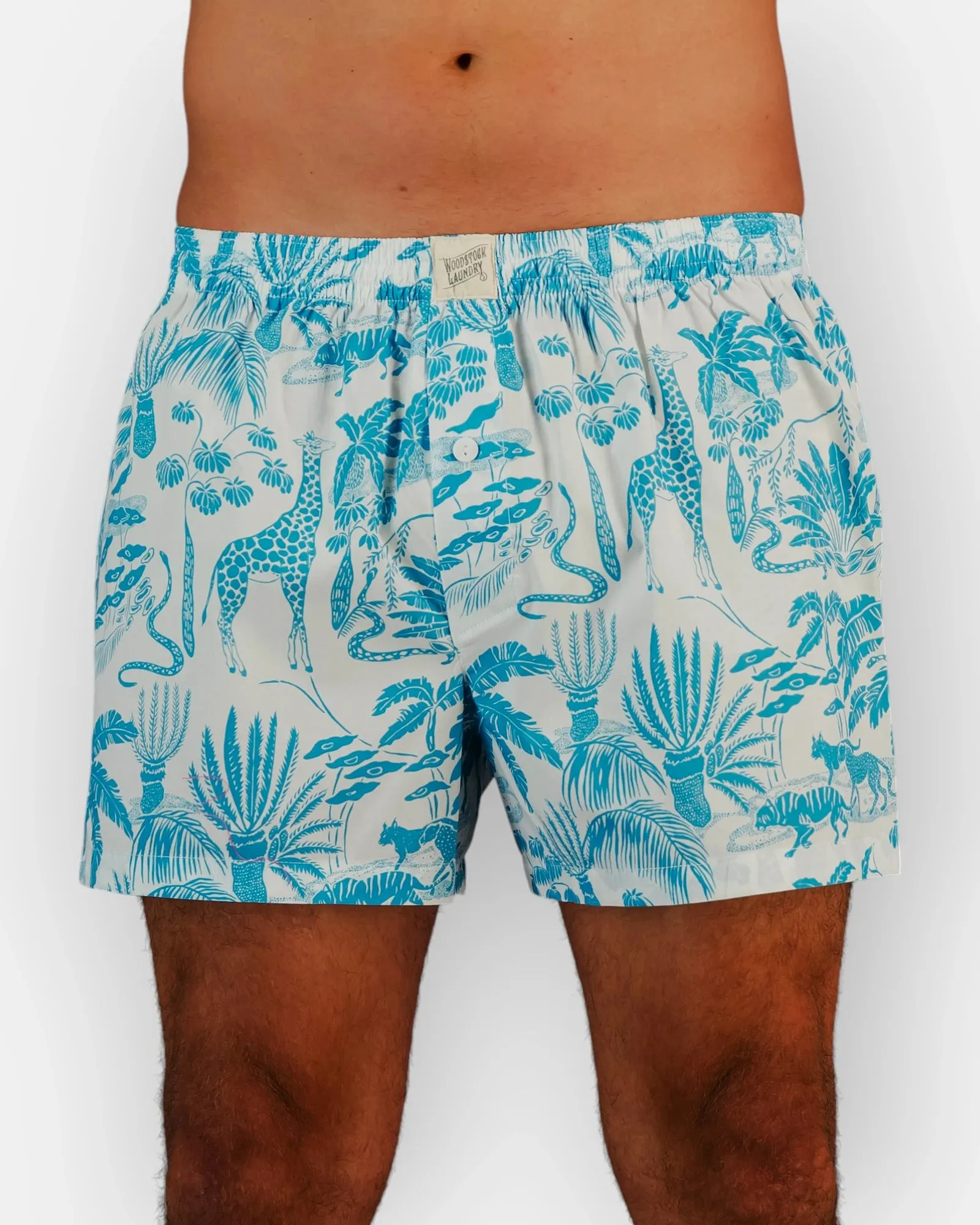 Men's Boxer Shorts - Mono Safari Blue