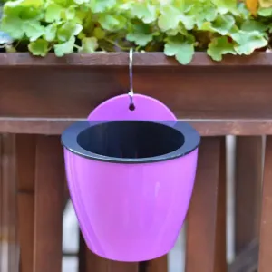 Self Watering Hanging Flower Pot