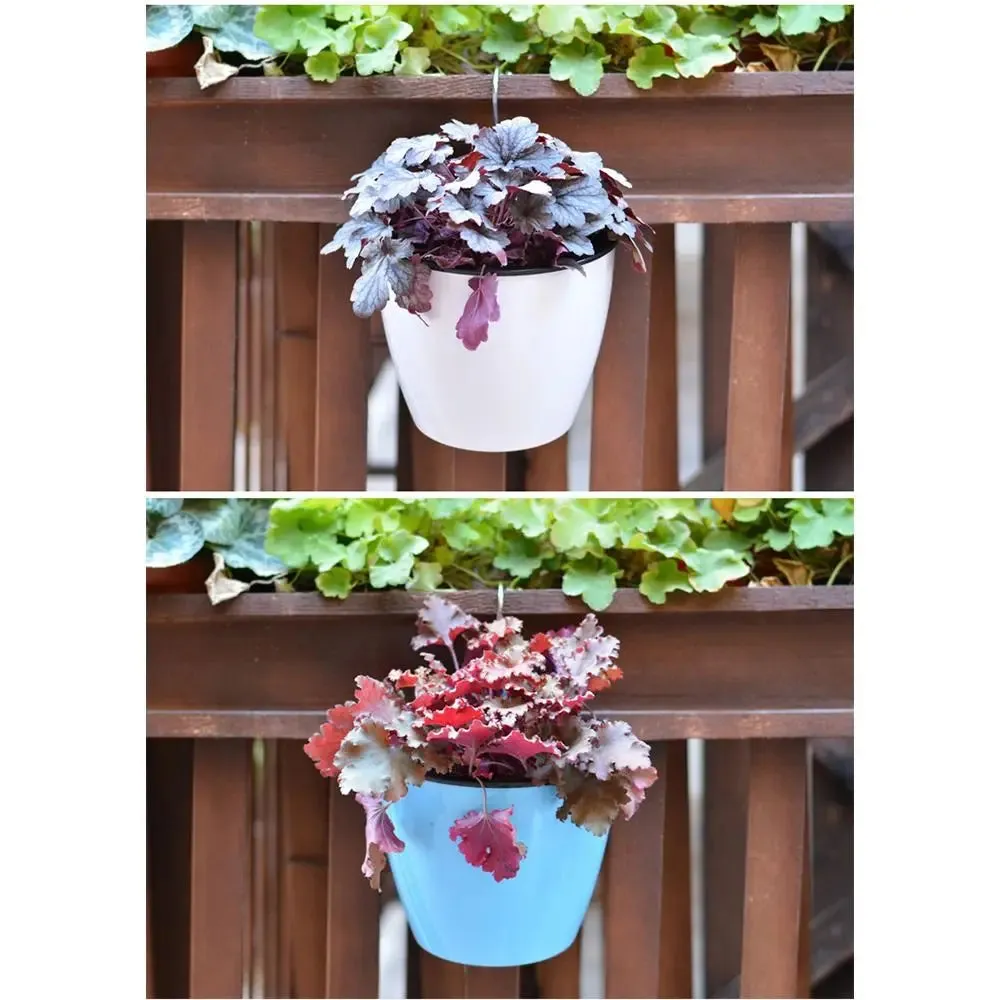 Self Watering Hanging Flower Pot