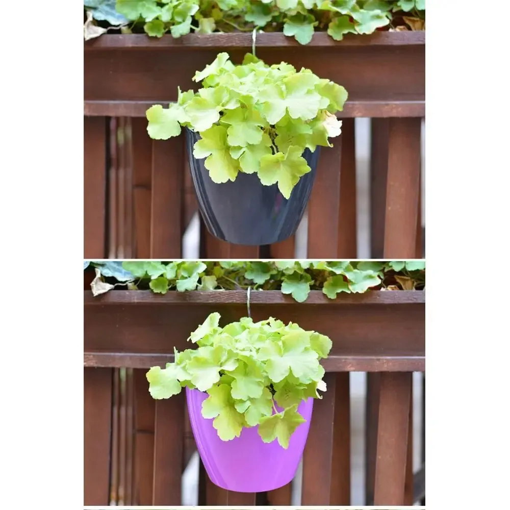 Self Watering Hanging Flower Pot